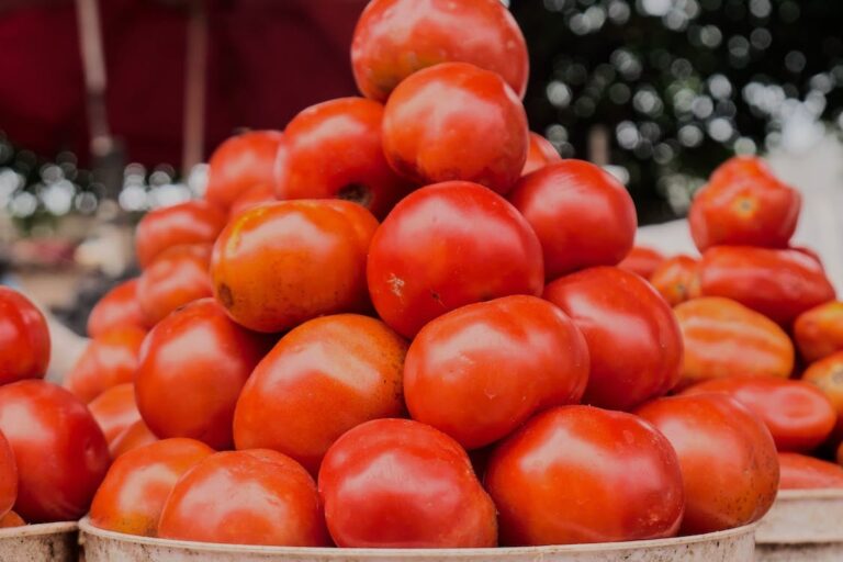“Maharashtra Farmer Makes ₹1.5 Crore Selling Tomatoes in a Month; Earns ₹18 Lakh in a Single Day”